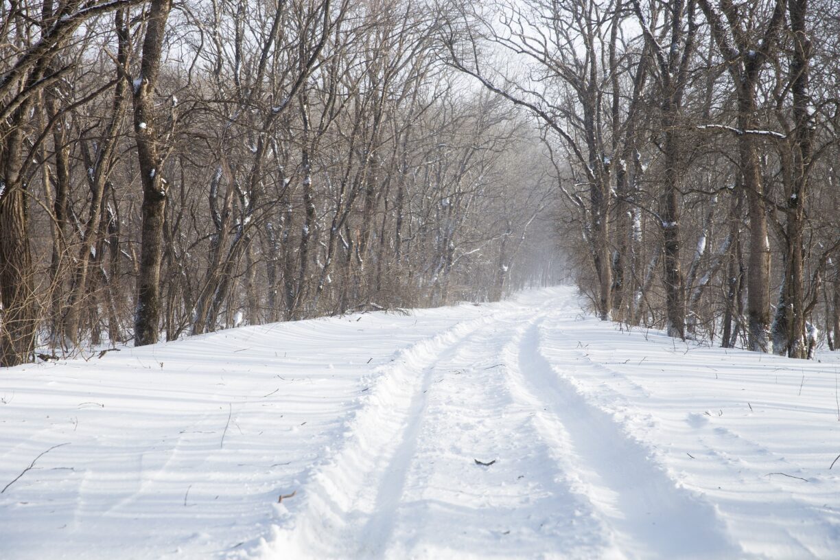 snowy road winter 2022-2023